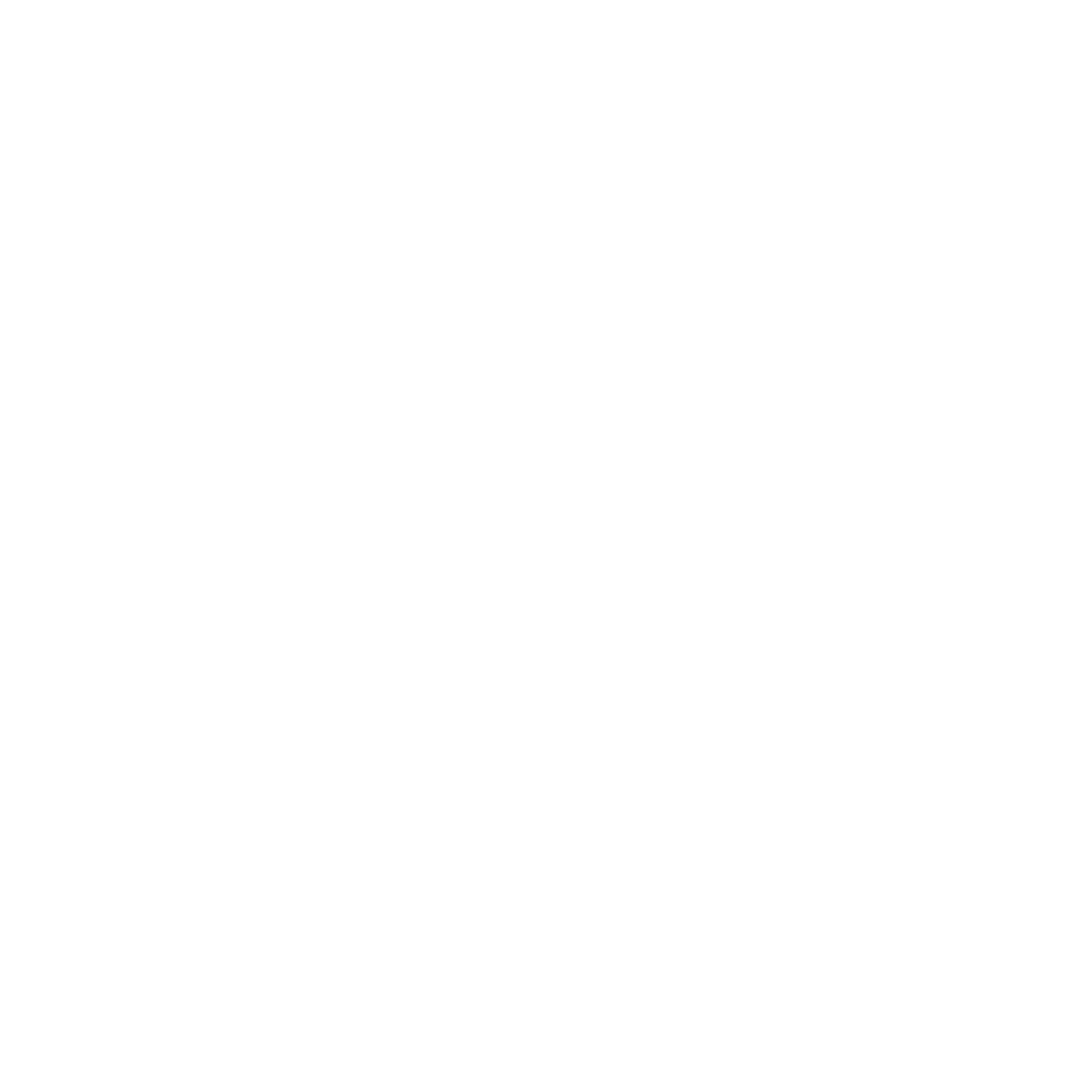 consultant icon